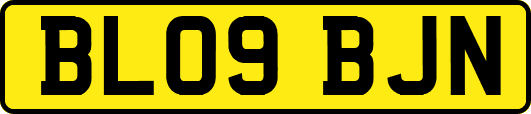 BL09BJN