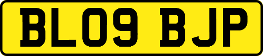 BL09BJP