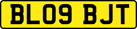 BL09BJT