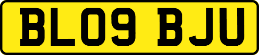 BL09BJU