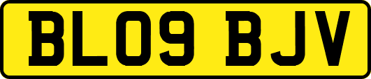 BL09BJV