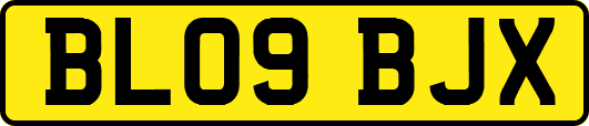 BL09BJX