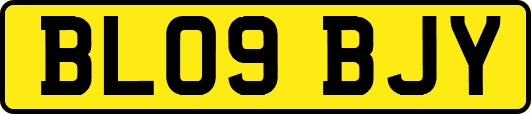 BL09BJY