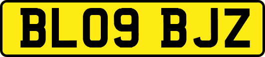 BL09BJZ