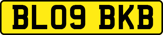 BL09BKB
