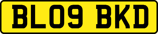 BL09BKD