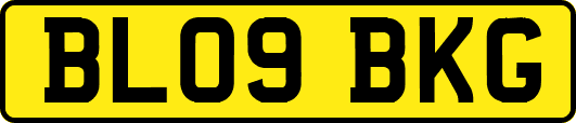 BL09BKG