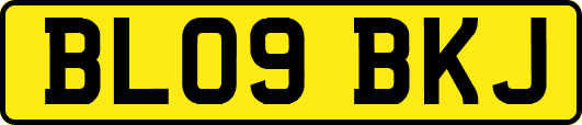 BL09BKJ