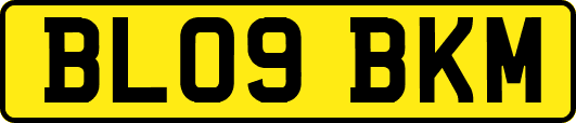 BL09BKM