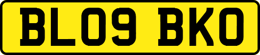 BL09BKO