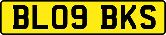 BL09BKS