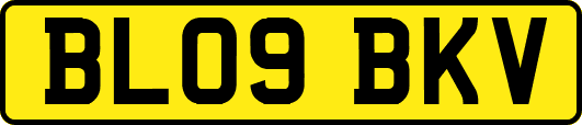 BL09BKV