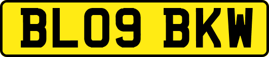 BL09BKW