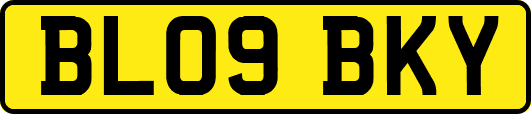 BL09BKY