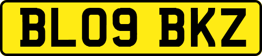 BL09BKZ
