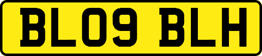 BL09BLH