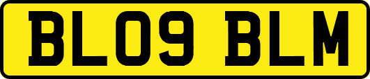 BL09BLM