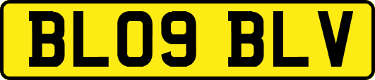 BL09BLV