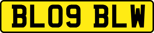 BL09BLW