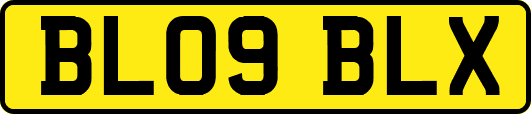 BL09BLX