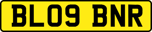BL09BNR