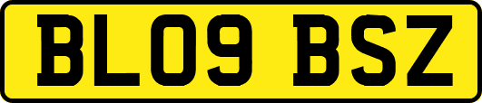 BL09BSZ