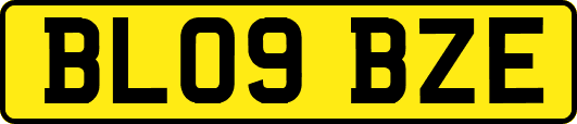 BL09BZE