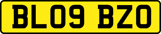 BL09BZO
