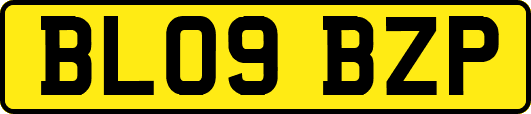 BL09BZP