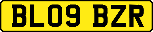 BL09BZR