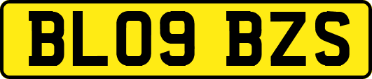 BL09BZS
