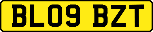 BL09BZT