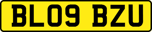 BL09BZU