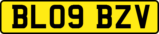 BL09BZV