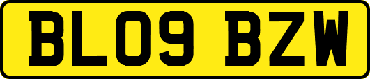 BL09BZW