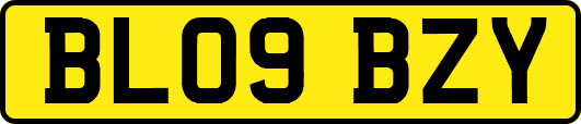 BL09BZY