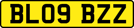 BL09BZZ