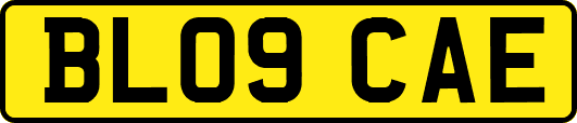 BL09CAE
