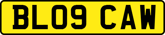 BL09CAW