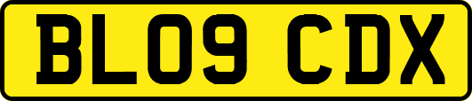 BL09CDX