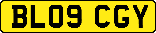 BL09CGY