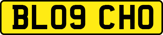 BL09CHO