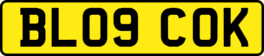 BL09COK