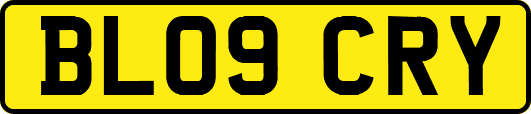BL09CRY