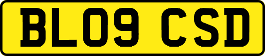 BL09CSD