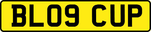 BL09CUP