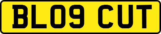 BL09CUT