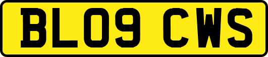 BL09CWS