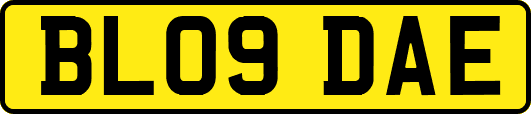 BL09DAE