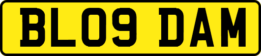 BL09DAM